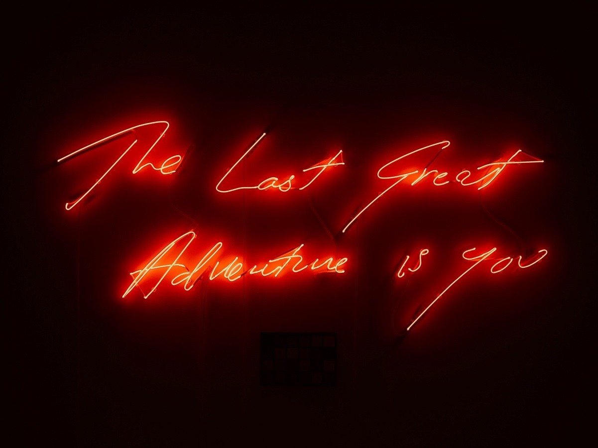 Tracey Emin, The Last Great Adventure is You, 2014